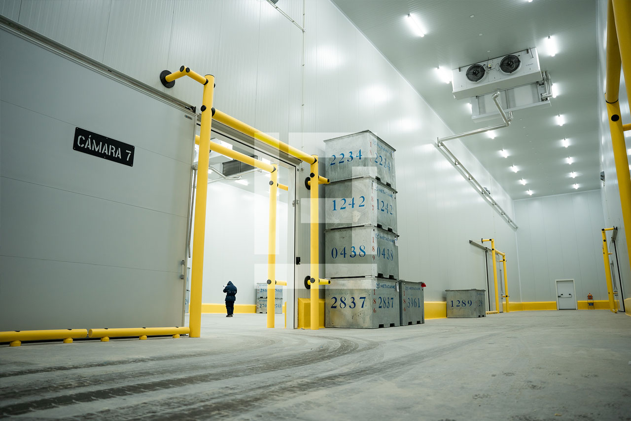 congelados_4_Almaservice