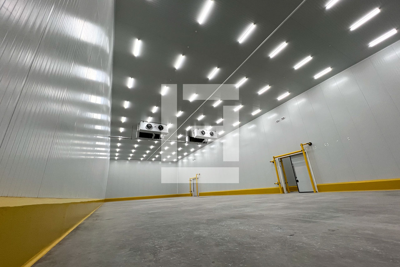 congelados_8_Almaservice